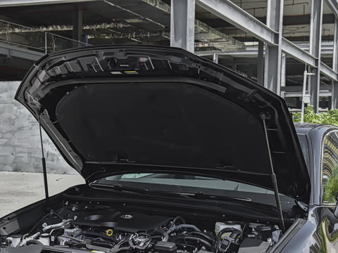 2026�� ˫�� 2.0HXS �˶�Plus��