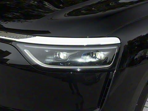 2025�� ���� Max+ ������������ 