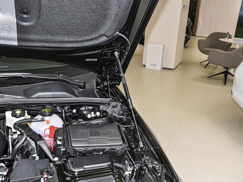 2025�� 25T ������