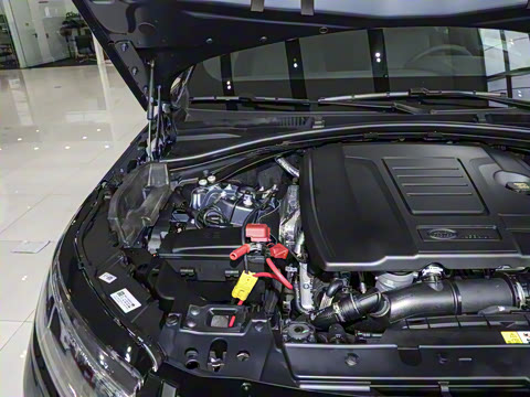 2026�� 250PS Dynamic SE