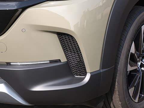 2026�� 2.5L ���а�