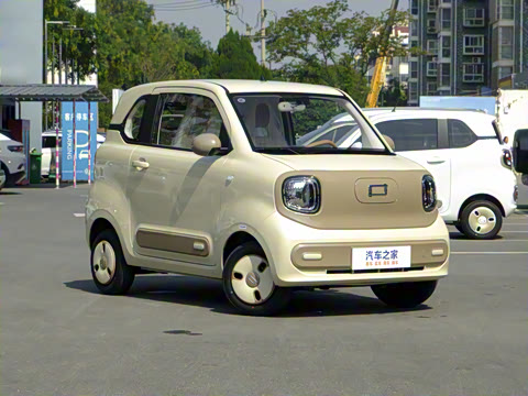 2026�� 222km ��ҫ��