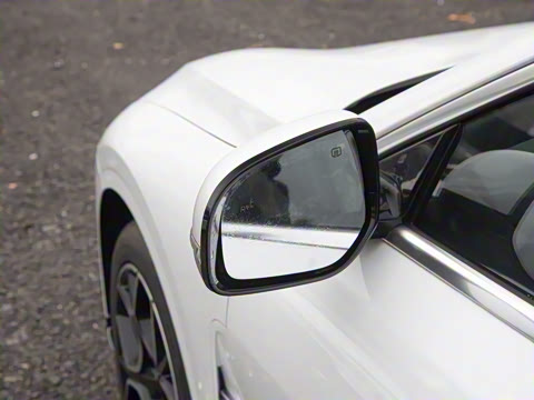 2026�� �����������̰� 310�콢��