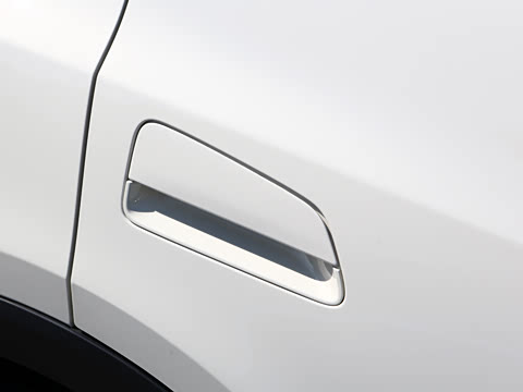 2026�� 305km ���ɰ�