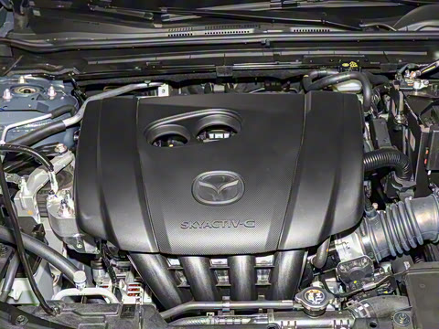 2025�� 2.0L �Զ����Ű�