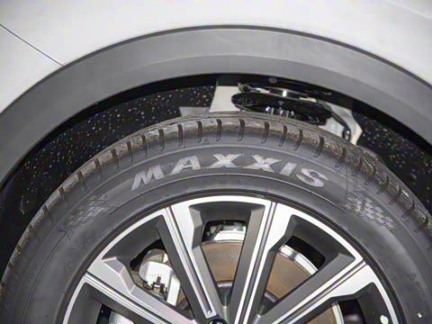 2025�� 100������Plus����