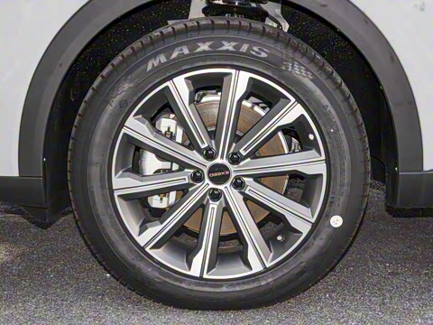 2025�� 100������Plus����