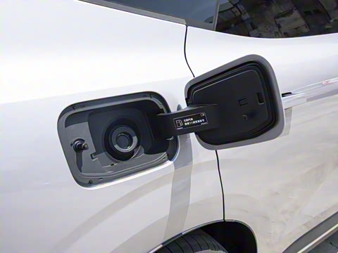 2026�� ������������Plus