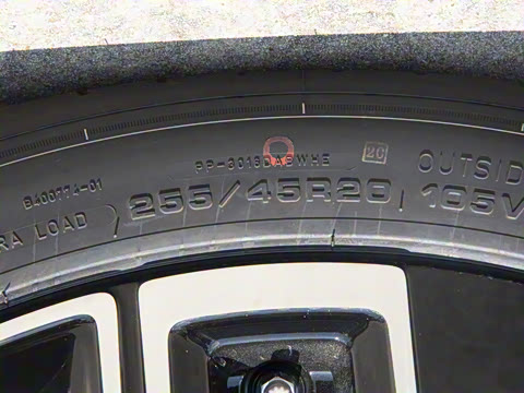 2026�� ������������Plus