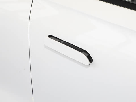 2025�� ���� 265 Max��������������ʻ