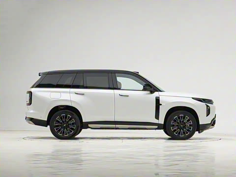 2025�� 205km Pro+�����״��