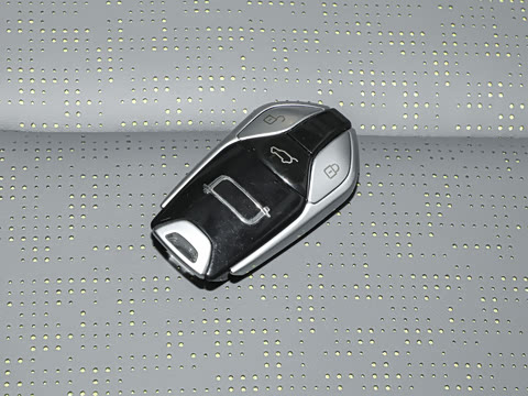 2025�� 565km ������