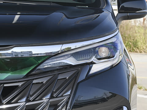 2025�� 2.5L ������