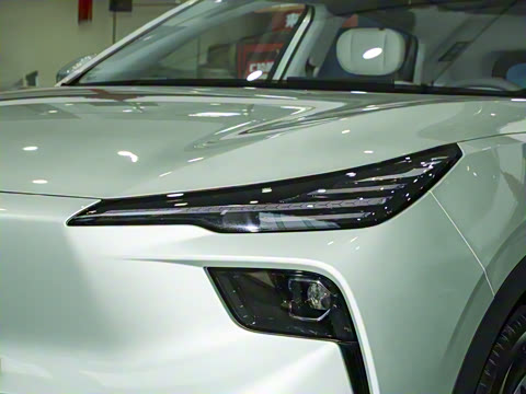 2025�� 565km �����