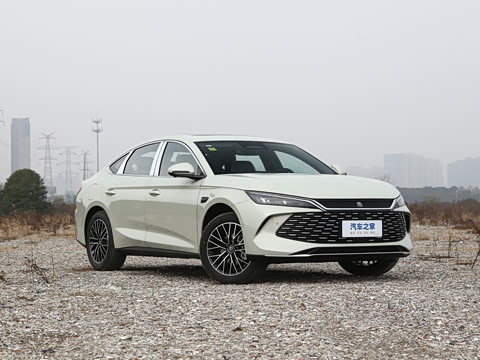 2026�� DM-i 210KM������