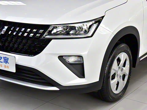 2026�� 1.5L �ֶ�������