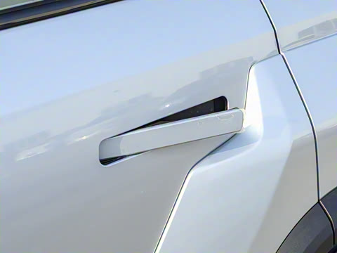 2025�� 520���������