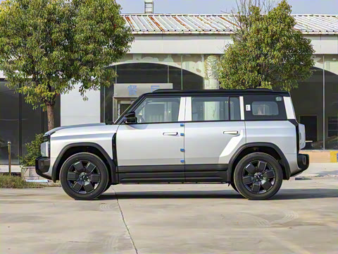 2025�� 520���������