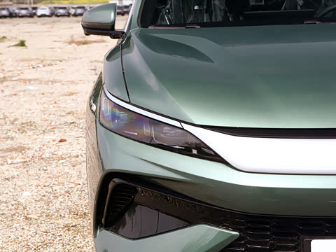 2026�� DM-i 220KM��Խ��