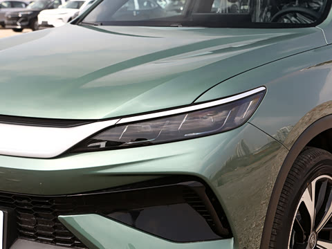 2026�� DM-i 220KM��Խ��