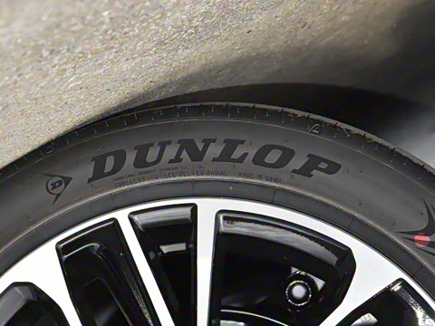 2026�� ˫�� 2.5HG ����