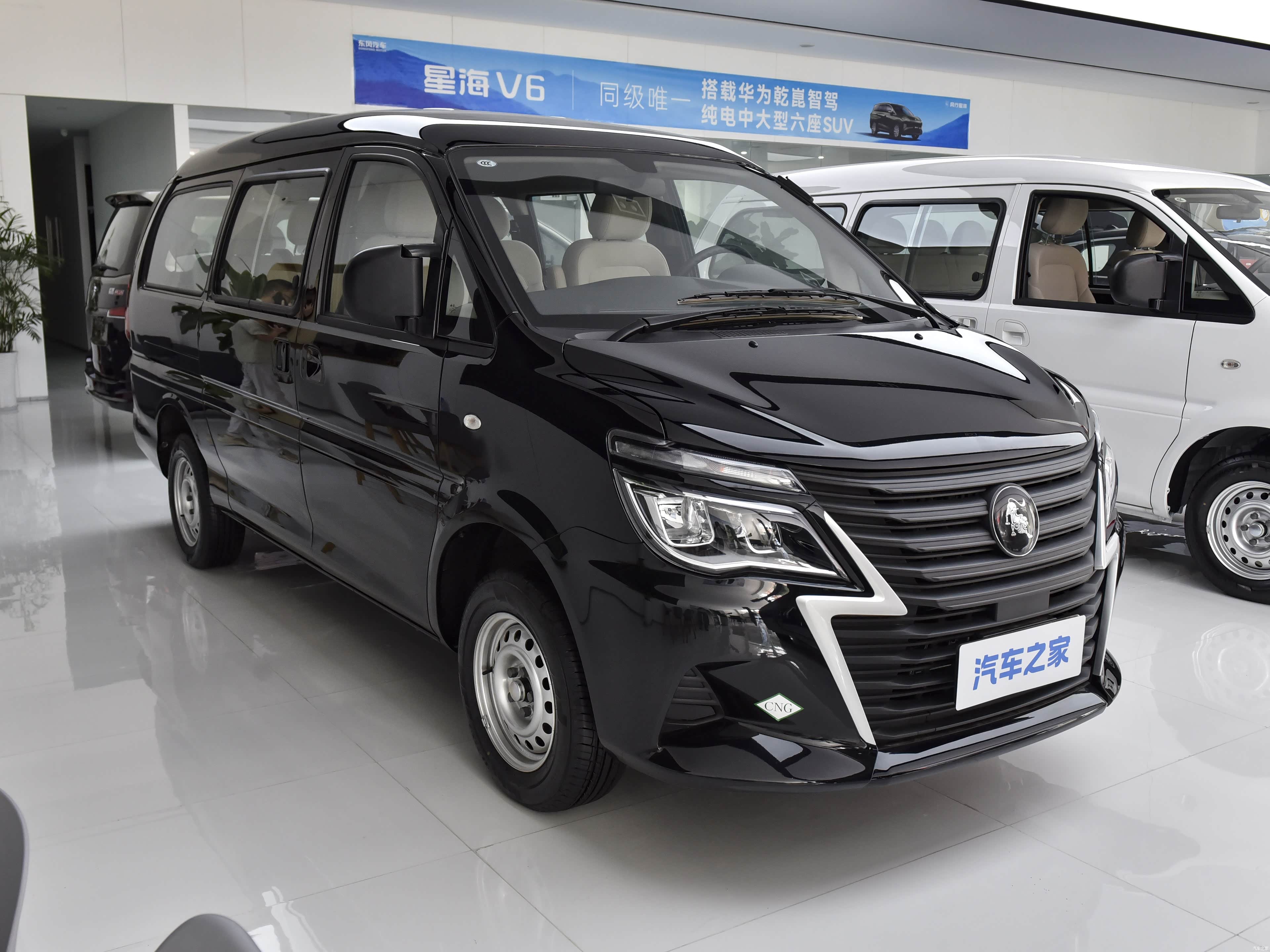 Forthing Lingzhi, миниатюра 3