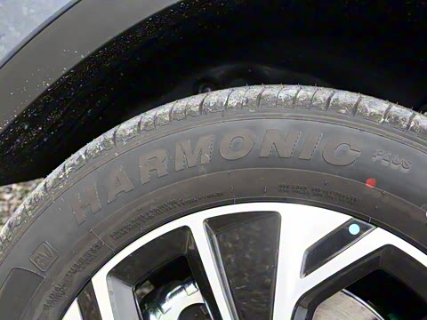 2026�� DM-i 133KM��Խ��