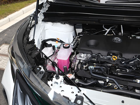 2026�� �߶���