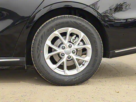 2026�� 60km̽����