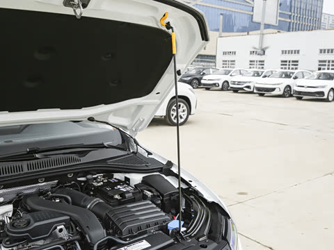 2026�� 300TSI DSG�ǿ����Ȱ�