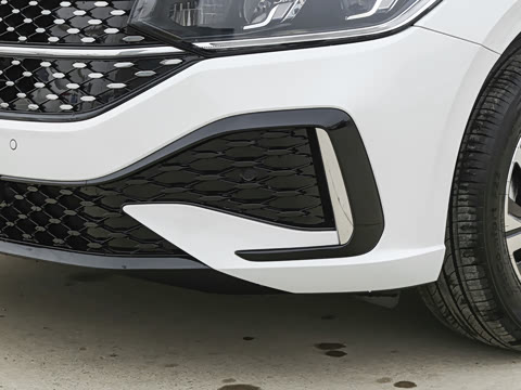 2026�� 300TSI DSG�ǿ����Ȱ�