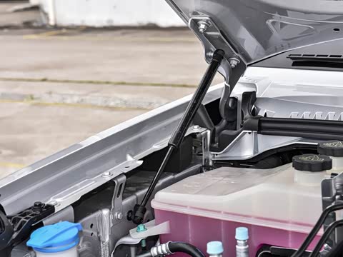 2026�� ������