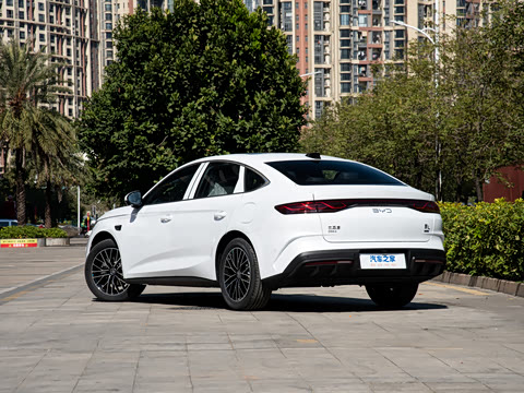 2026�� DM-i 210KM������