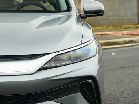 2026�� DM-i 133KM��Խ��