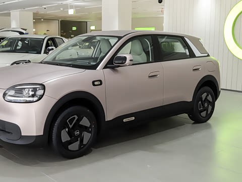 2026�� 310�Ȱ���
