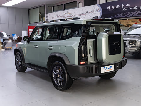 2025�� 2.0TD DCT XWD��Խ