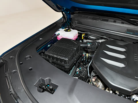 2025�� ��Ұ�� 5��