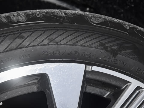 2026�� ����������