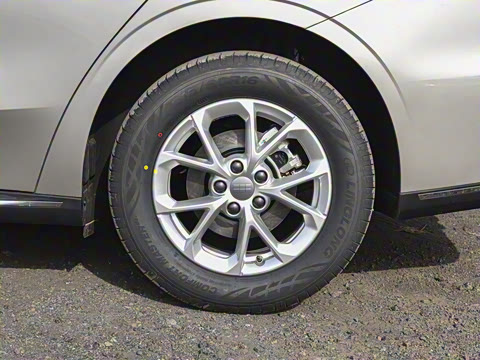 2026�� 125kmԶ����