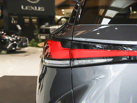 2025�� 300 ����������