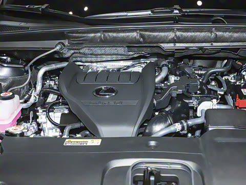 2025�� 300 ����������