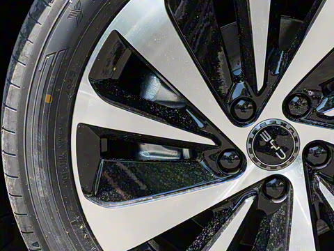 2025�� DM-i 121�캽��