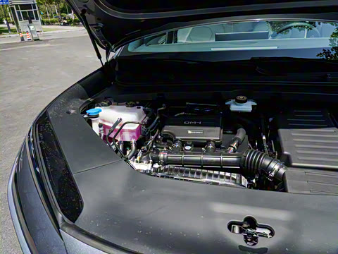 2025�� DM-i 121�캽��