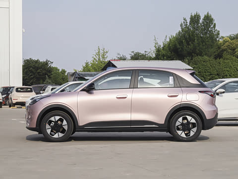 2026�� 310km �˷��