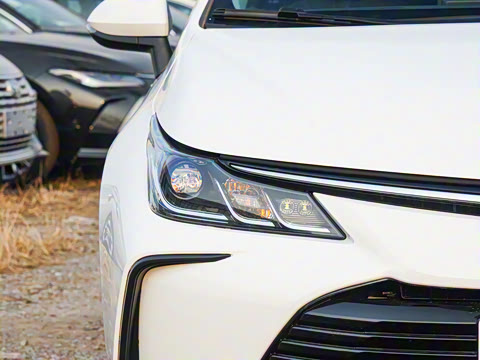 2025�� 1.2T ��Ӣ��