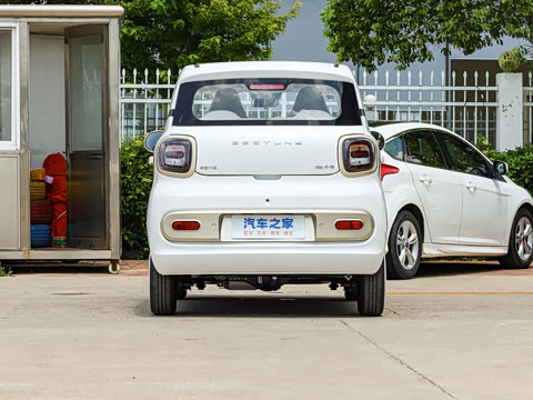 2026�� 222km ��ҫ��