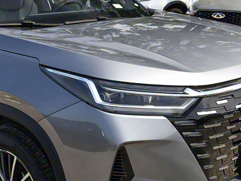 2025�� 290T ��������+