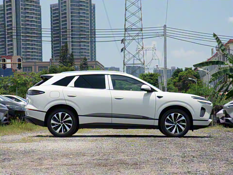 2025�� DM-i 121�캽��