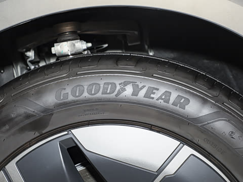 2025�� Pro ������