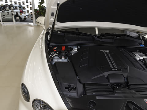 2026�� 4.0T V8 ������ŶȰ�